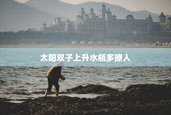 太阳双子上升水瓶多撩人