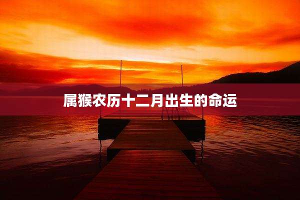 属猴农历十二月出生的命运