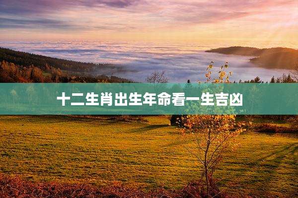 十二生肖出生年命看一生吉凶
