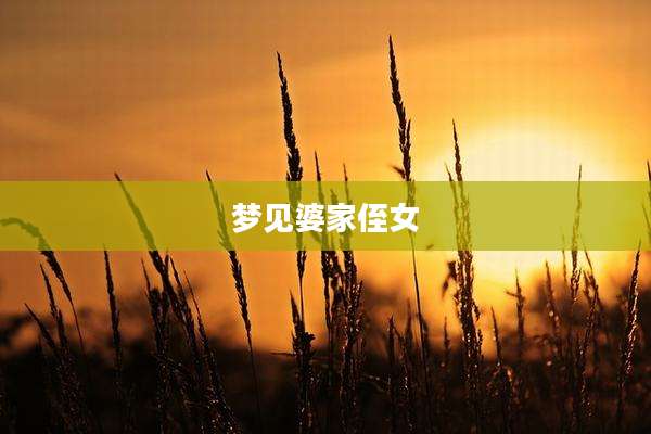 梦见婆家侄女