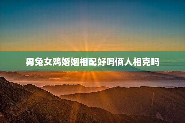 男兔女鸡婚姻相配好吗俩人相克吗