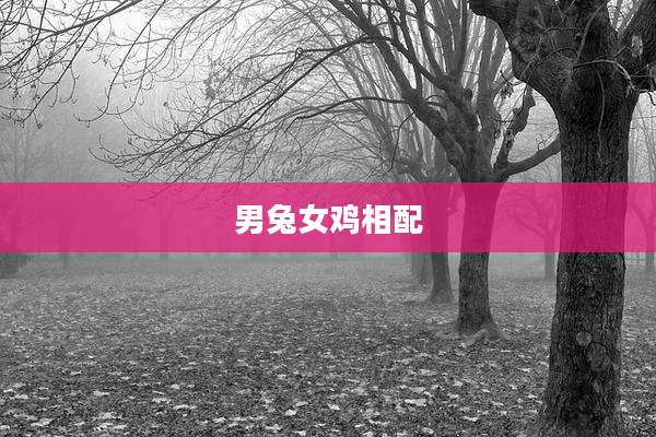 男兔女鸡相配