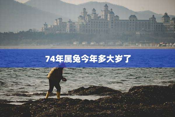 74年属兔今年多大岁了