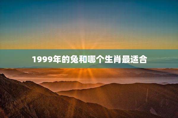 1999年的兔和哪个生肖最适合