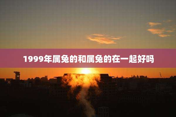 1999年属兔的和属兔的在一起好吗