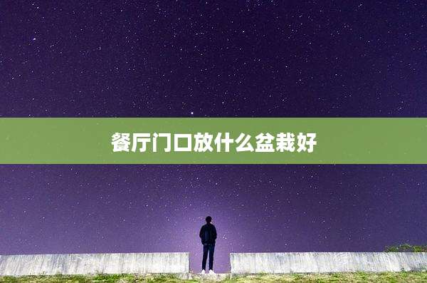 餐厅门口放什么盆栽好