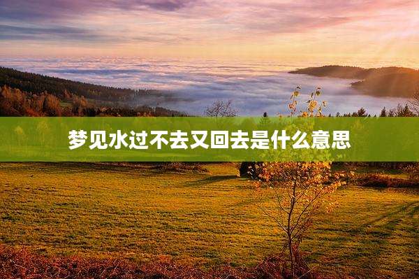 梦见水过不去又回去是什么意思