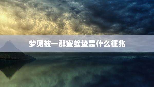 梦见被一群蜜蜂蛰是什么征兆