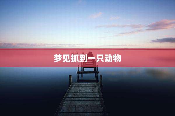 梦见抓到一只动物