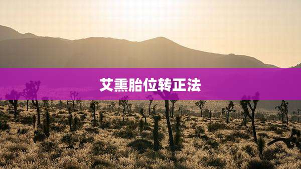 艾熏胎位转正法