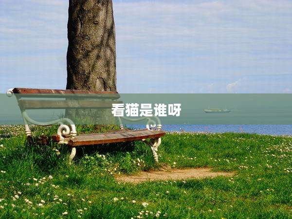 看猫是谁呀