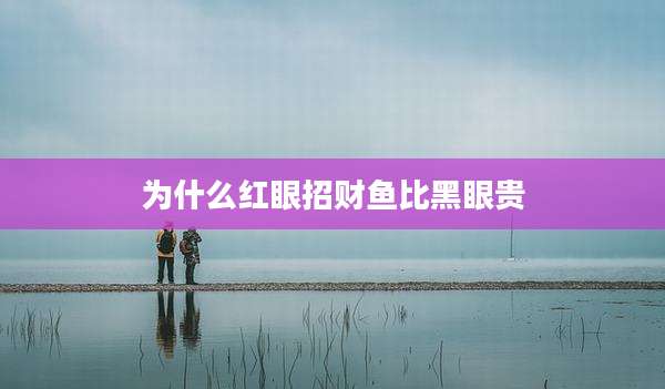 为什么红眼招财鱼比黑眼贵