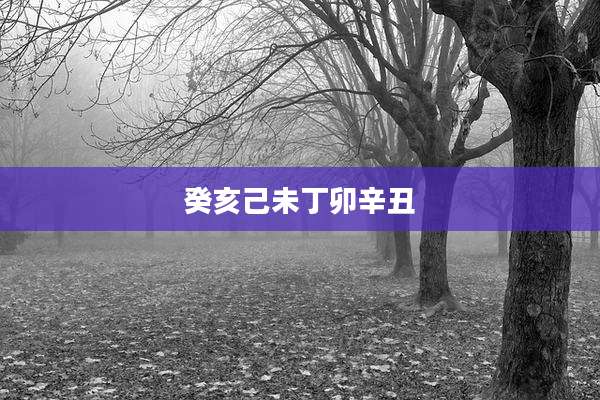 癸亥己未丁卯辛丑