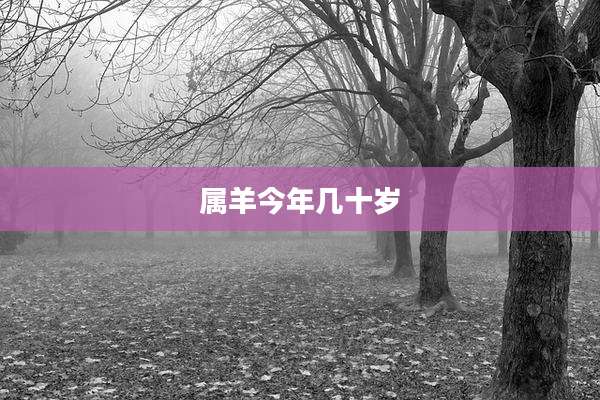 属羊今年几十岁