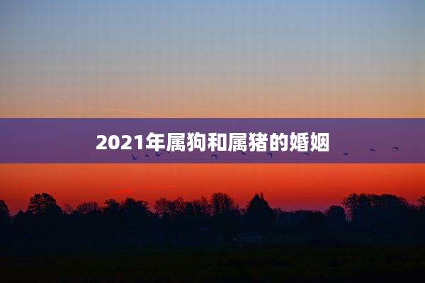 2021年属狗和属猪的婚姻