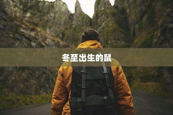 冬至出生的鼠