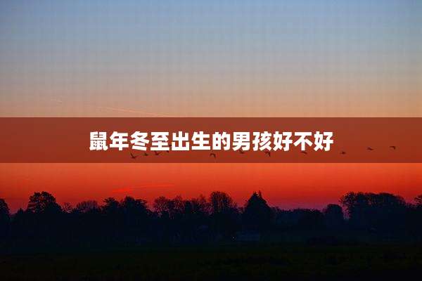 鼠年冬至出生的男孩好不好
