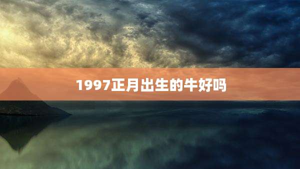 1997正月出生的牛好吗