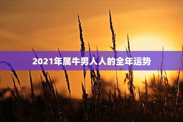 2021年属牛男人人的全年运势