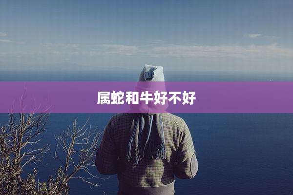 属蛇和牛好不好