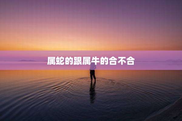 属蛇的跟属牛的合不合