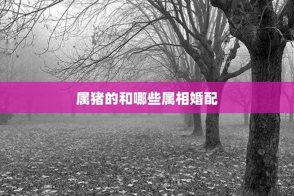 属猪的和哪些属相婚配