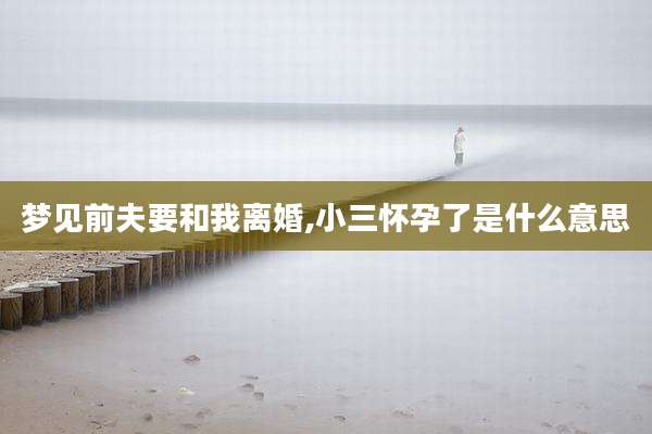梦见前夫要和我离婚,小三怀孕了是什么意思