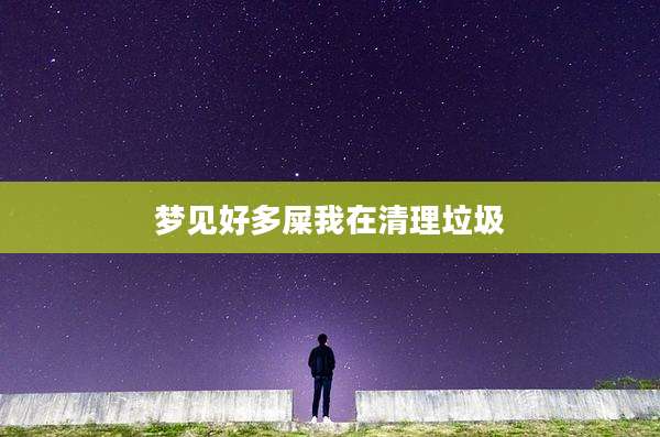 梦见好多屎我在清理垃圾