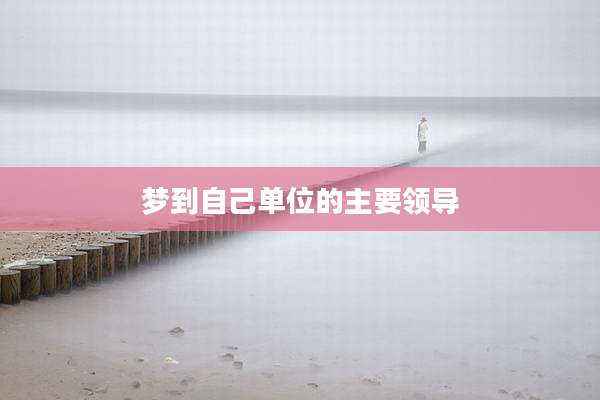 梦到自己单位的主要领导