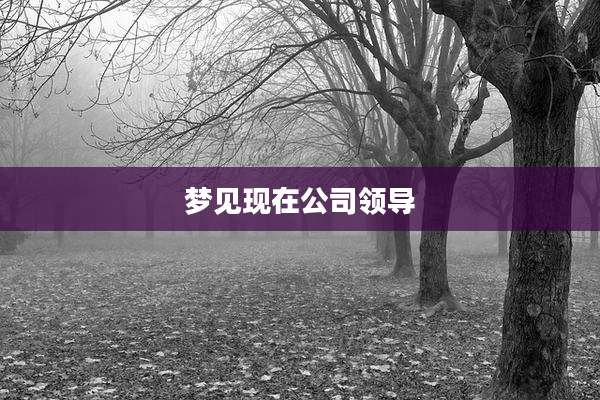 梦见现在公司领导