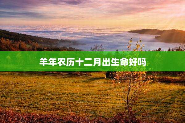 羊年农历十二月出生命好吗