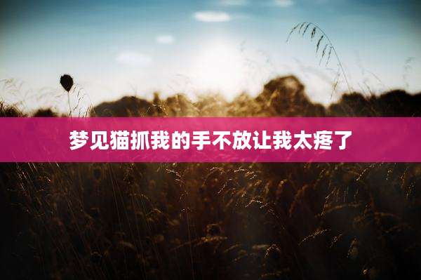 梦见猫抓我的手不放让我太疼了