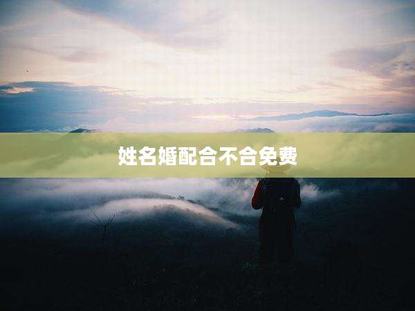 姓名婚配合不合免费