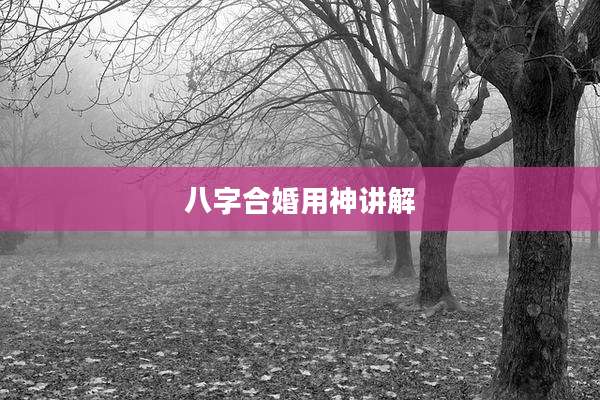 八字合婚用神讲解