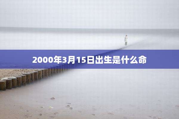 2000年3月15日出生是什么命