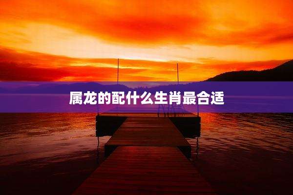 属龙的配什么生肖最合适