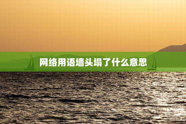 网络用语墙头塌了什么意思