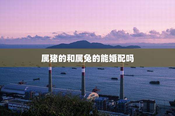 属猪的和属兔的能婚配吗