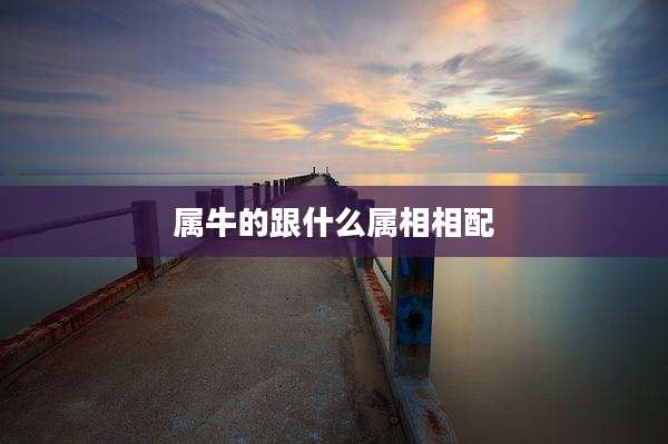 属牛的跟什么属相相配