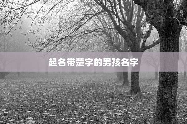 起名带楚字的男孩名字