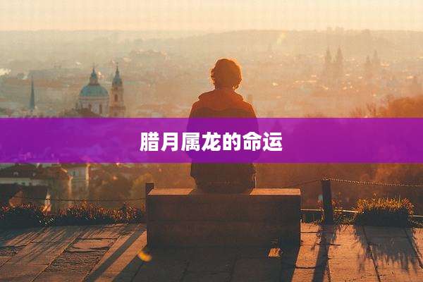 腊月属龙的命运