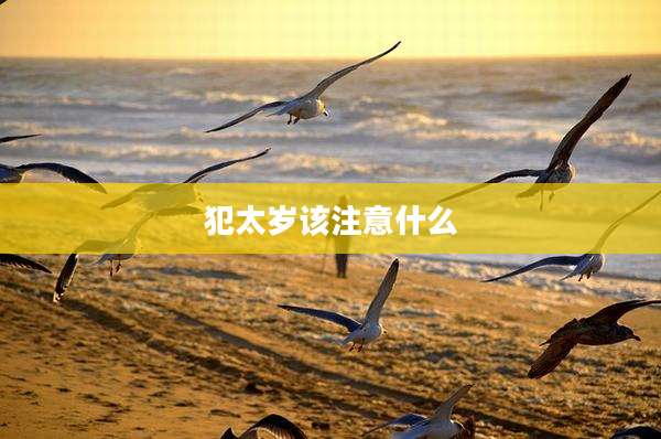 犯太岁该注意什么