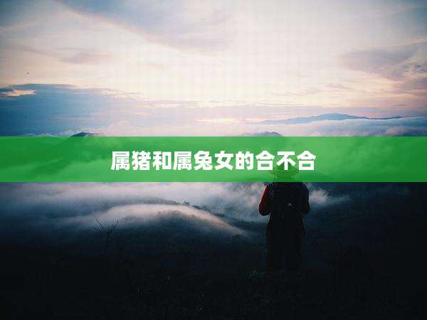 属猪和属兔女的合不合