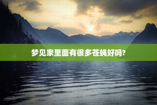 梦见家里面有很多苍蝇好吗?
