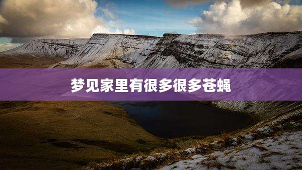 梦见家里有很多很多苍蝇
