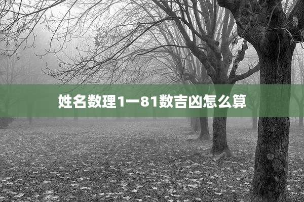 姓名数理1一81数吉凶怎么算
