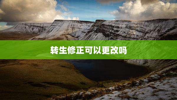 转生修正可以更改吗
