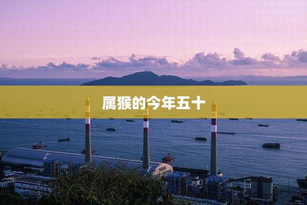属猴的今年五十