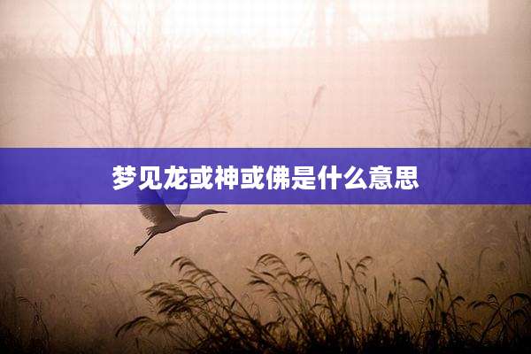梦见龙或神或佛是什么意思