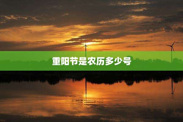 重阳节是农历多少号